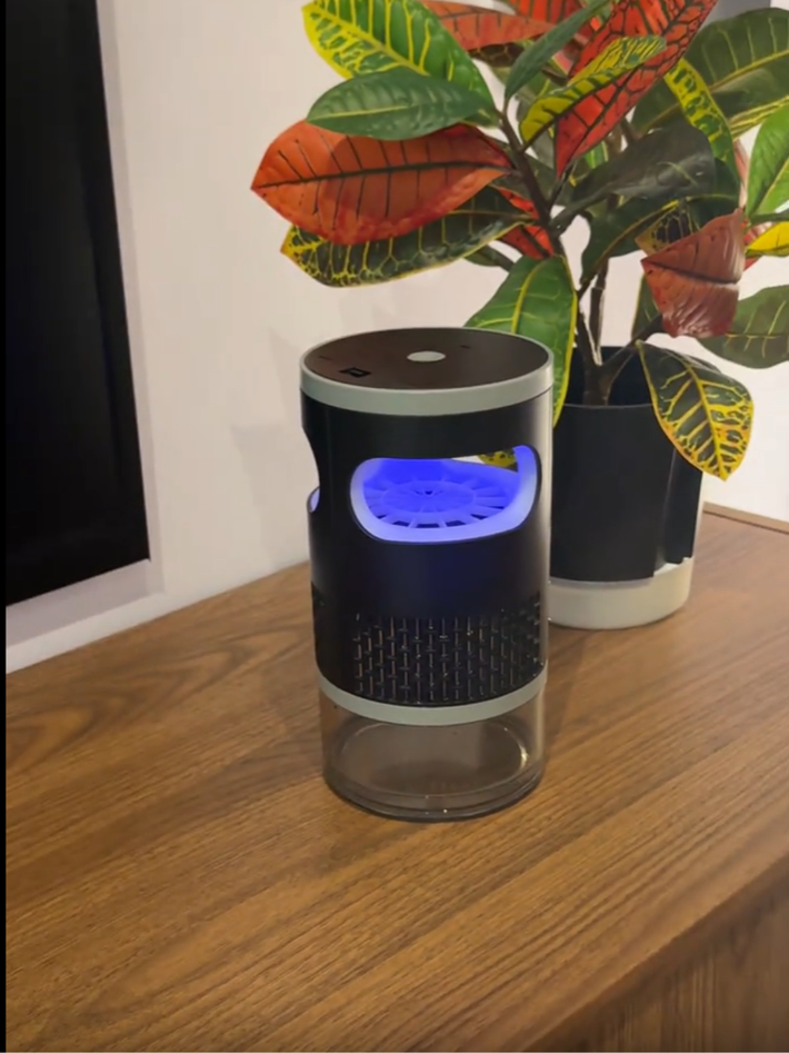 Insect trap used near indoor plants